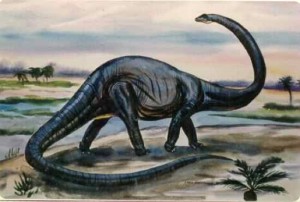 bronto