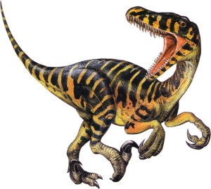 veloci