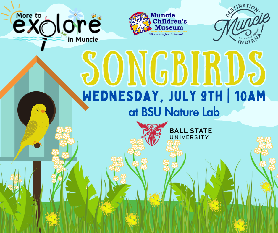More to Explore in Muncie: Songbirds @ BSU Nature Lab